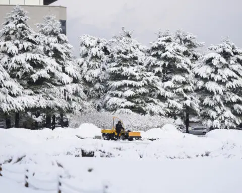 Biggest November snowstorm in half century hits Seoul and grounds flights