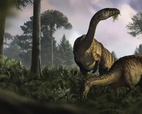 Fossilized dinosaur feces and vomit help scientists reconstruct the creatures' rise