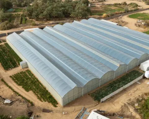 This greenhouse keeps crops cool. It could prove valuable as our planet bakes
