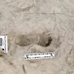 Fossil footprints in Kenya show two ancient human species coexisted