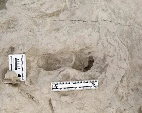 Fossil footprints in Kenya show two ancient human species coexisted