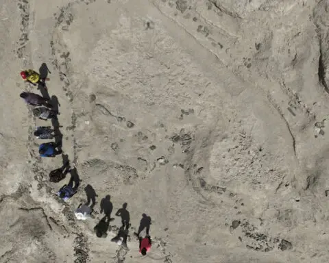 Muddy footprints suggest 2 species of early humans were neighbors in Kenya 1.5 million years ago