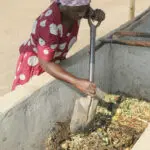 From yuck to profits: Some Zimbabwe farmers turn to maggots to survive drought and thrive