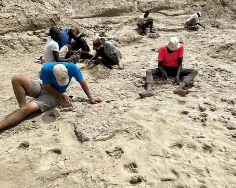 Discovery of fossilized footprints reveals the moment two ancient human species crossed paths