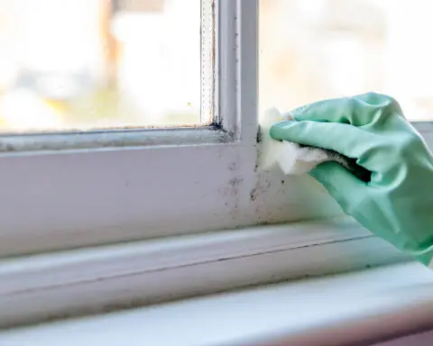 Common headaches could signal dangerous mold problem