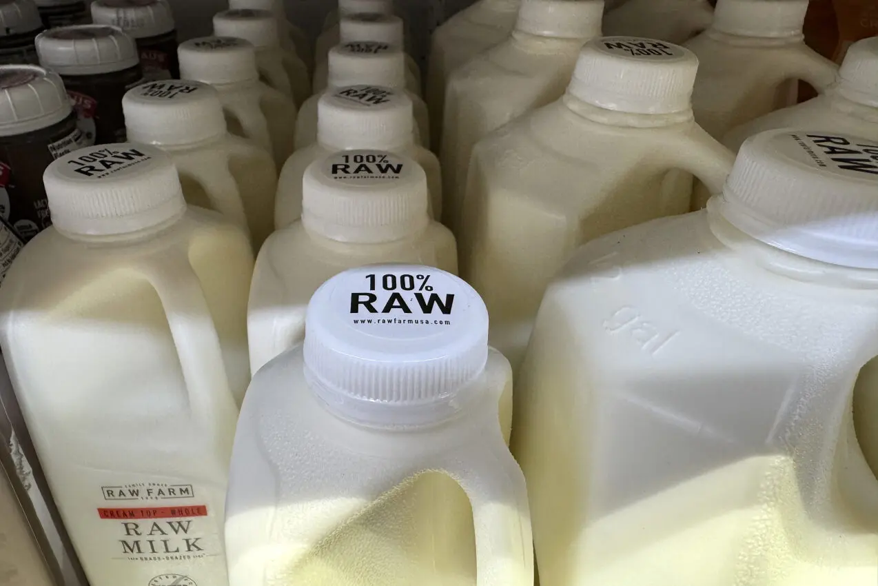 Bird flu detection prompts raw milk recall in California