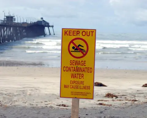 County Health Department issues 7 warnings for area beaches