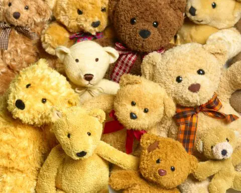 Santa Clarita man sentenced to 8 years for smuggling drugs in stuffed animals