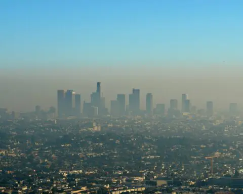 USC study finds connection from pollution to decreased memory in kids