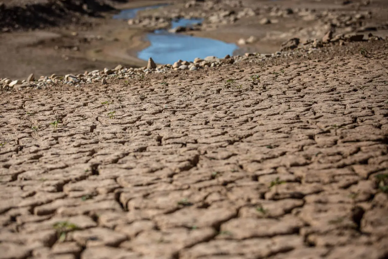 Rising heat drives drought more than lack of rain, UCLA study says