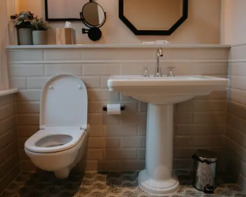 Bathroom scrolling leads to surge in painful medical issues