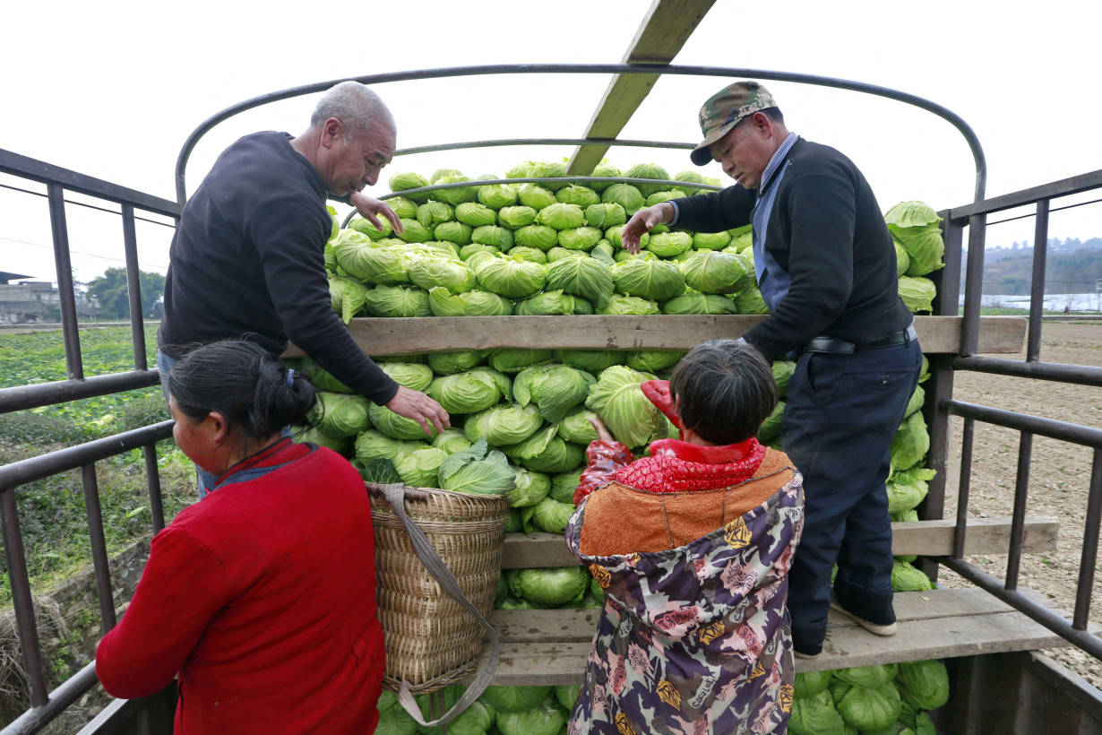 Chinese study recommends region-specific diets, amid rising obesity risks