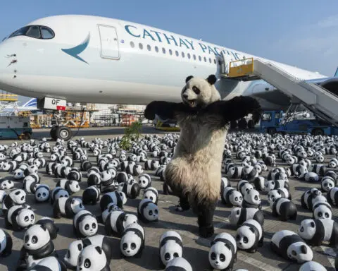 Hong Kong will display 2,500 panda sculptures to capitalize on a local bear craze