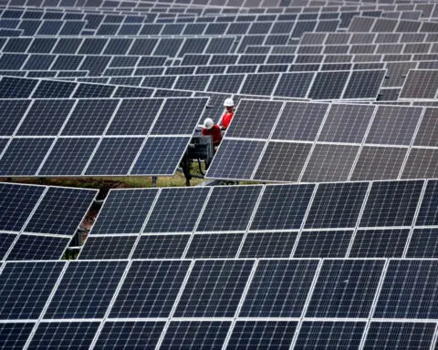 New US solar tariffs on Southeast Asia to raise prices, cut profit margins