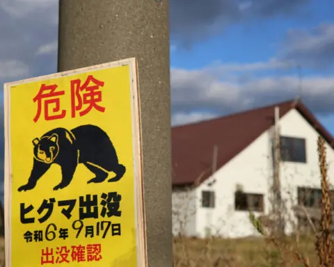 Bear attacks are rising in Japan. Aging hunters are on the front line