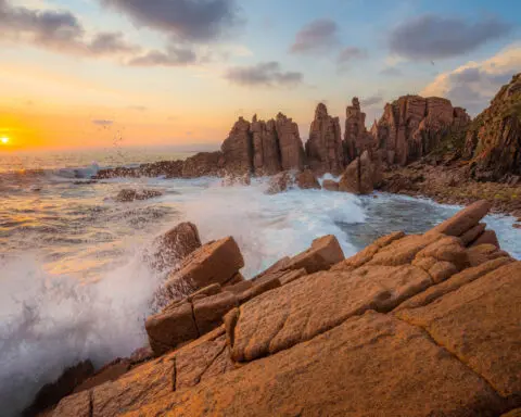 The Australian city that became a global food and drink powerhouse