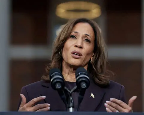 Democratic officials blame Harris election loss on outside factors