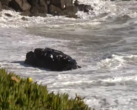 Bystanders rescue victim who drove off cliff in California