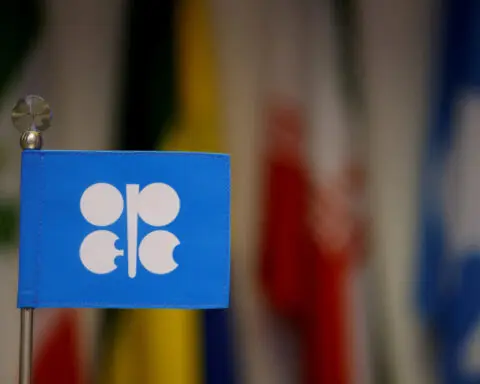 OPEC oil output rises in November as Libya recovers, survey finds