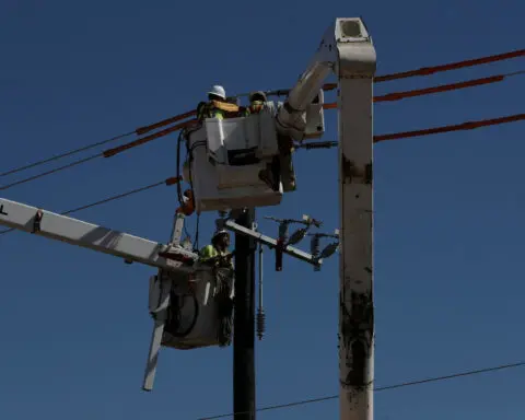 Texas extreme winter cold could challenge power grid in early 2025