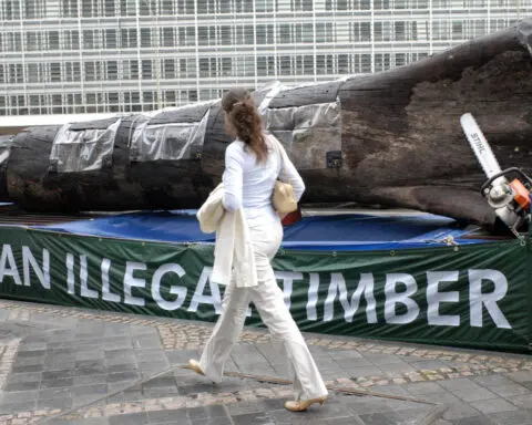 EU pushes back deforestation law by a year after outcry from global producers