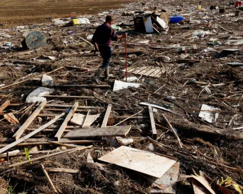 Washed-up detritus from Valencia floods puts Albufera wetland in jeopardy