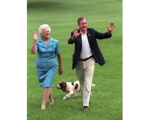 Harris found success with women who have cats, but Trump got the dog owner vote: AP VoteCast