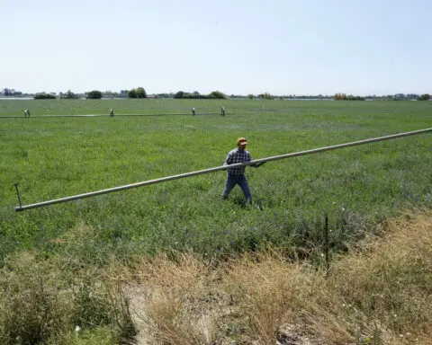 California farmers are hopeful Trump administration will deliver more water to fields