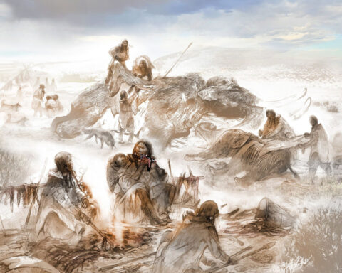 Ancient Americans chowed down on mammoth steak, study finds