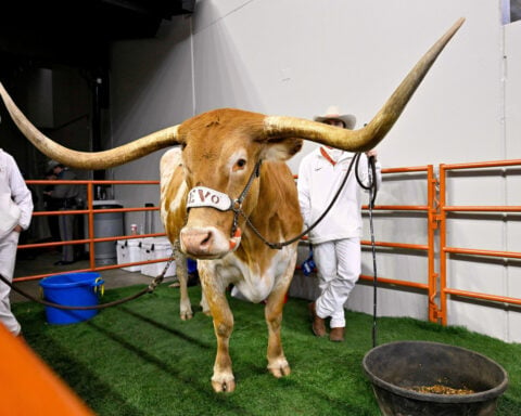 The SEC to Texas: No Bevo at the conference championship game vs. Georgia