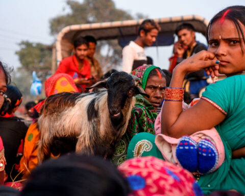 A mass animal sacrifice festival is underway in Nepal. Activists say it needs to stop