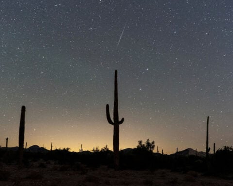 Here’s how to watch this year’s brightest meteor shower