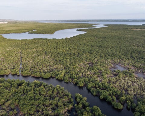 Scientists mapped the world’s rivers over 35 years. They found shocking changes