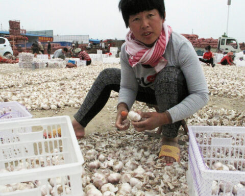 China says US politicians need to be more rational after senator's call for garlic probe