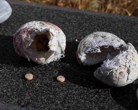 Discovery of vast Syrian drug lab reveals secrets of illicit captagon trade