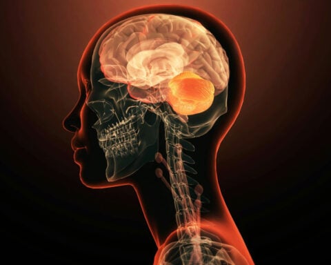 Brain inflammation may be the reason behind muscle fatigue after infection and injury