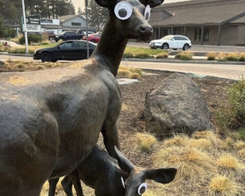 Mysterious googly eyes go viral after appearing on public art in Oregon