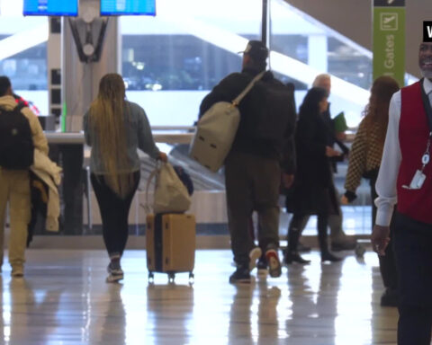 Cat lost for over a decade finally reunited with owner at airport