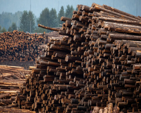 Procter & Gamble to disclose more details about wood-pulp audits, investors say