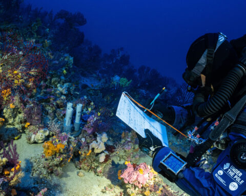 These ocean explorers have seen the damage done by industrial fishing. They want it to stop