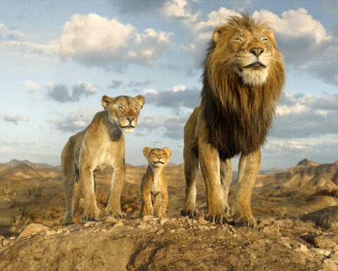Barry Jenkins on why he made 'Mufasa' and how it changed him as a filmmaker