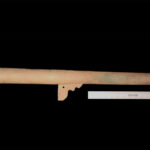 Cannons abandoned by doomed Spanish expedition are thought to be oldest firearms found in US