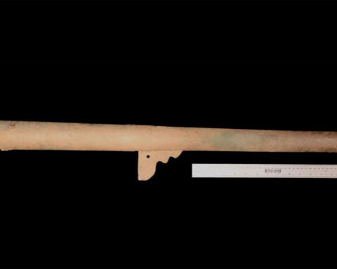 Cannons abandoned by doomed Spanish expedition are thought to be oldest firearms found in US