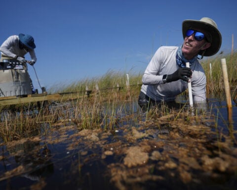 In Florida, a race is on to save the Everglades and protect a key source of drinking water