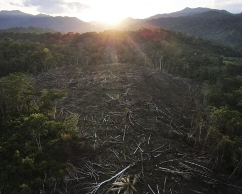 Amazon Indigenous community wins latest stage of court battle for lost territory