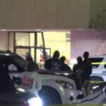 Fleeing motorist is dead after driving into Texas shopping mall and injuring 5