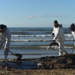 ‘Ordinary people with shovels’: Volunteers cleaning Black Sea oil spill ask Putin for help