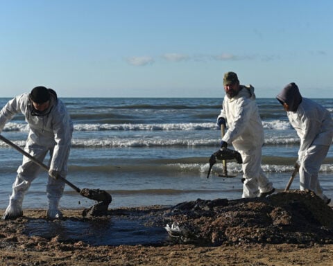 ‘Ordinary people with shovels’: Volunteers cleaning Black Sea oil spill ask Putin for help