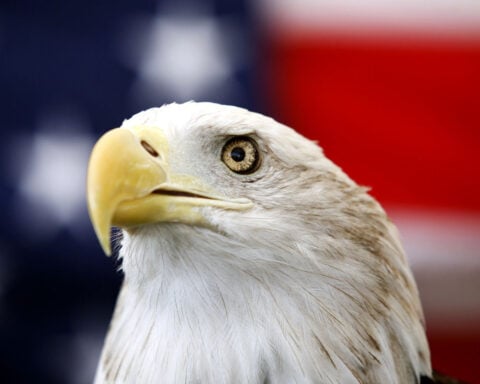 Biden signs a bill officially making the bald eagle the national bird of the US