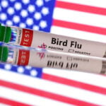 Bird flu virus shows mutations in first severe human case in US, CDC says